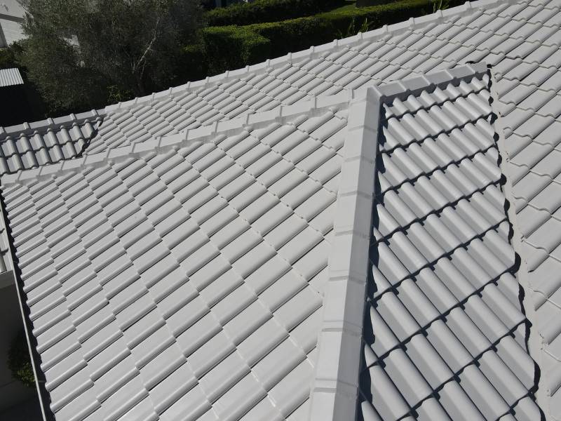 Tile Roof Painting - after