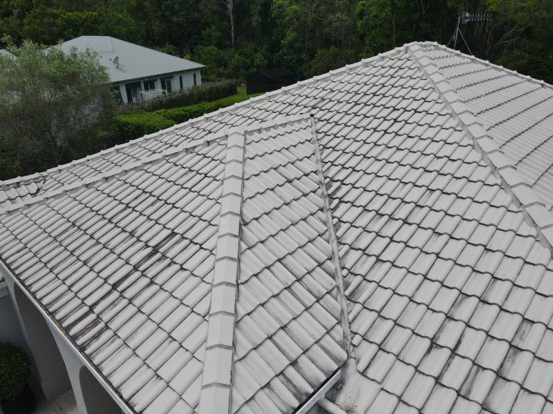 Tile Roof Painting - before