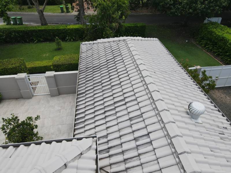 Tile Roof Painting - before