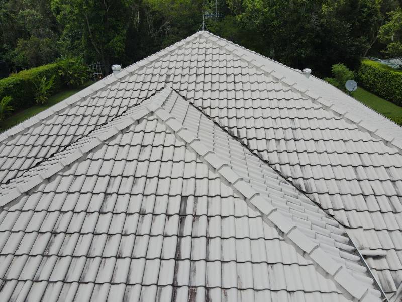 Tile Roof Painting - before