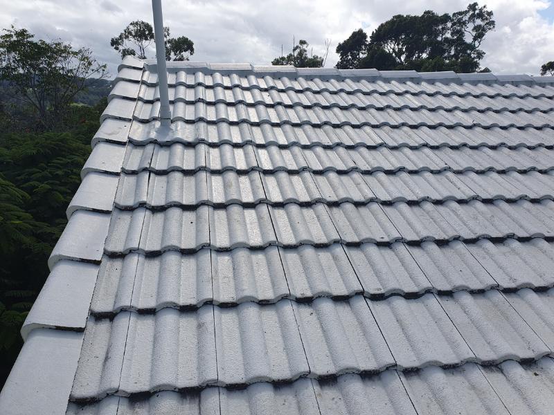 Tile Roof Repairs and Restoration